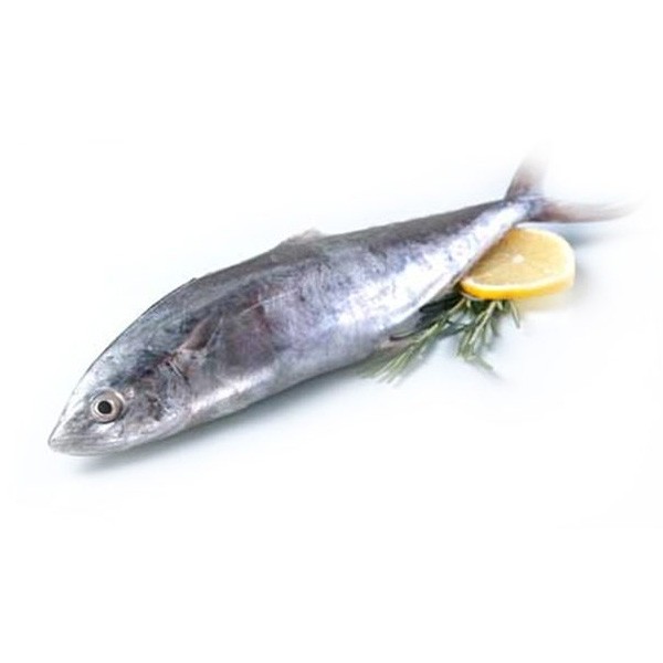 KING FISH - Adam Seafood  Fresh Seafood and Fishmonger's