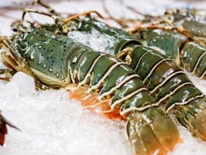 FRESH INDIAN LOBSTER LARGE