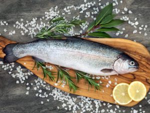 RAINBOW TROUT