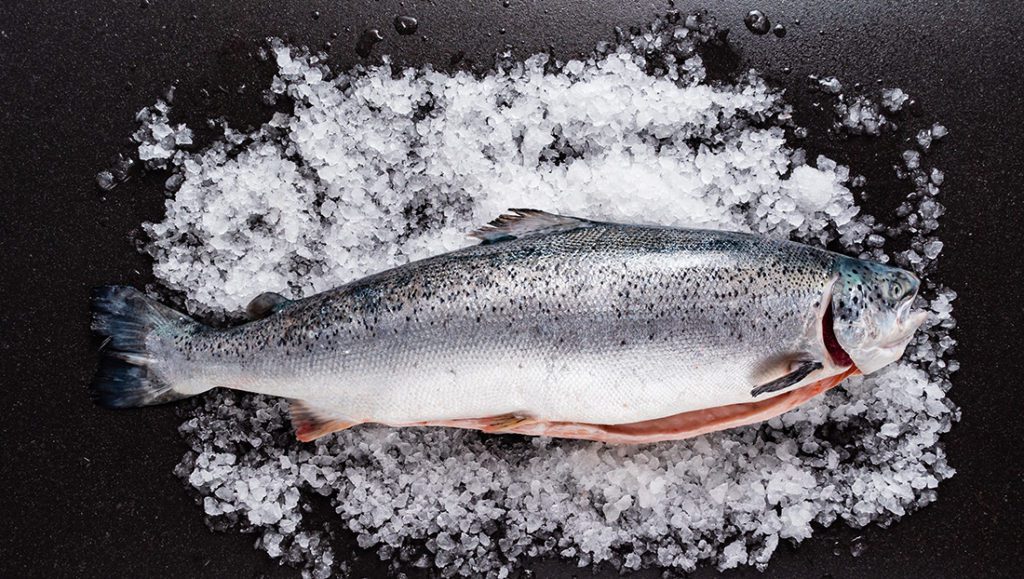 Whole Salmon - Adam Seafood | Fresh Seafood and Fishmonger's