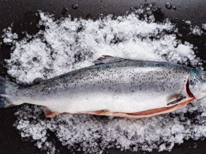 WHOLE SALMON (SASHIMI GRADE)
