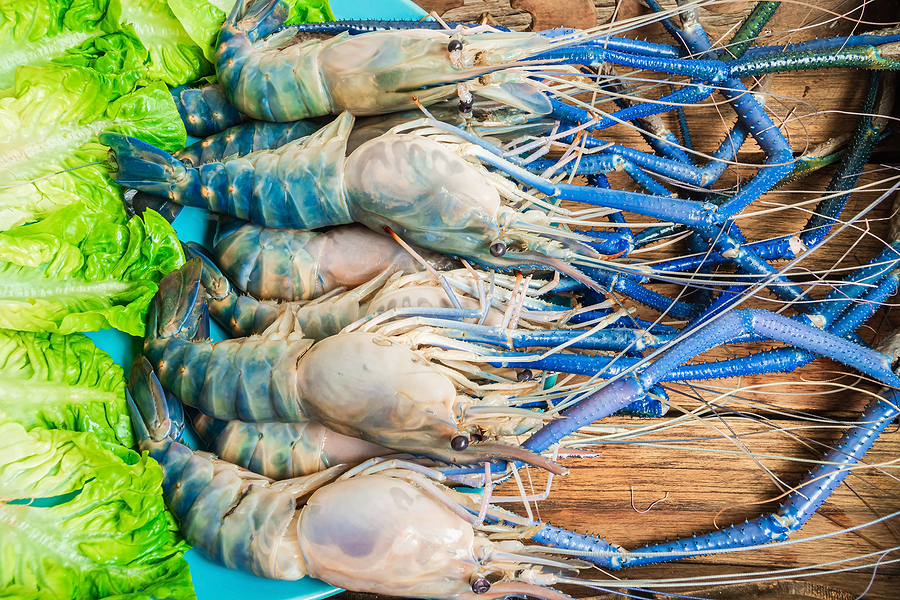 JUMBO KING PRAWNS Adam Seafood Fresh Seafood and Fishmonger's