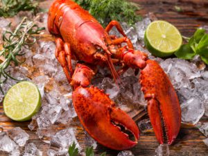 LIVE ENGLISH LOBSTER