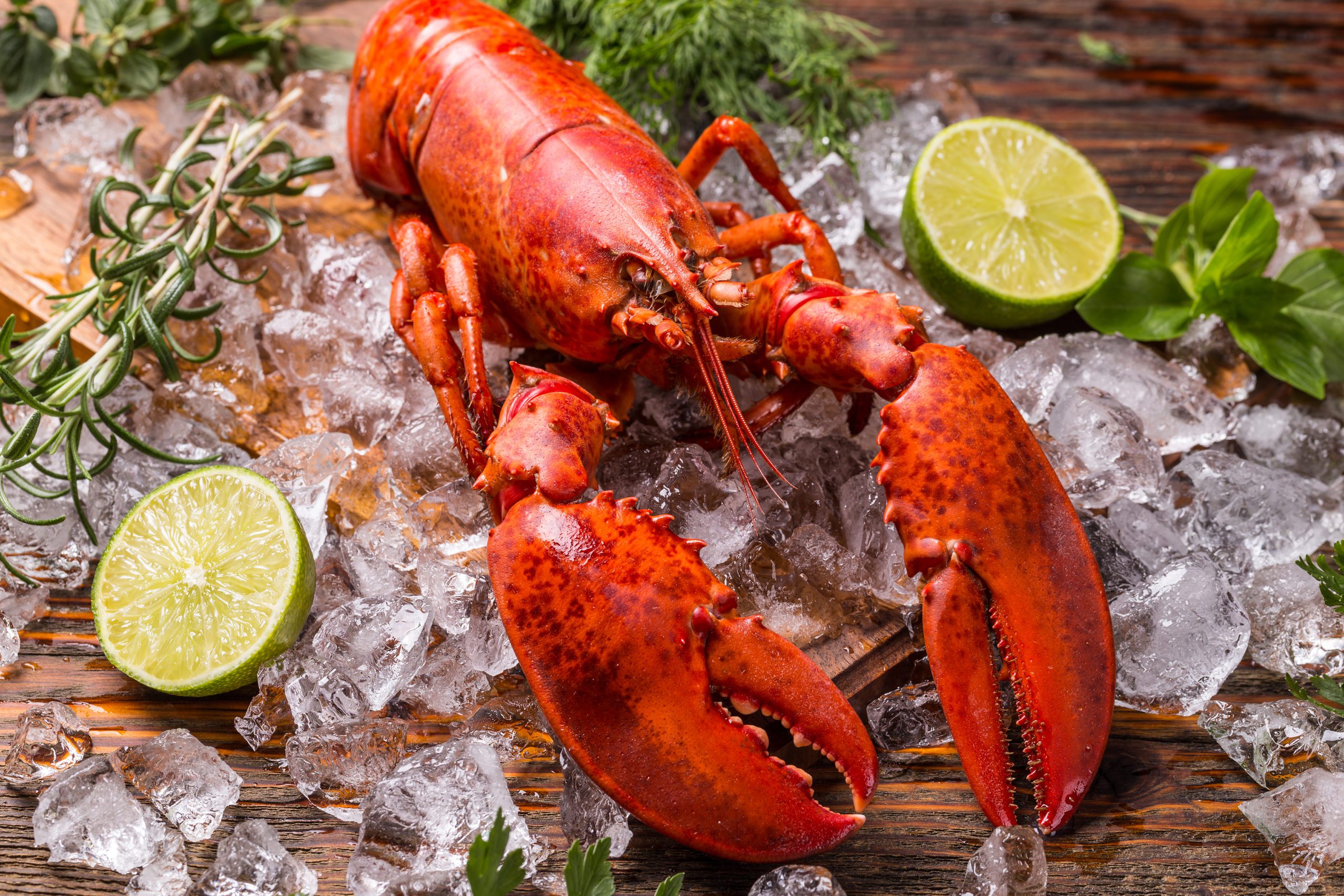 Lobster seafood deals