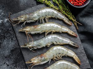 SEA WATER PRAWNS