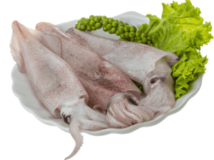 FRESH SQUID